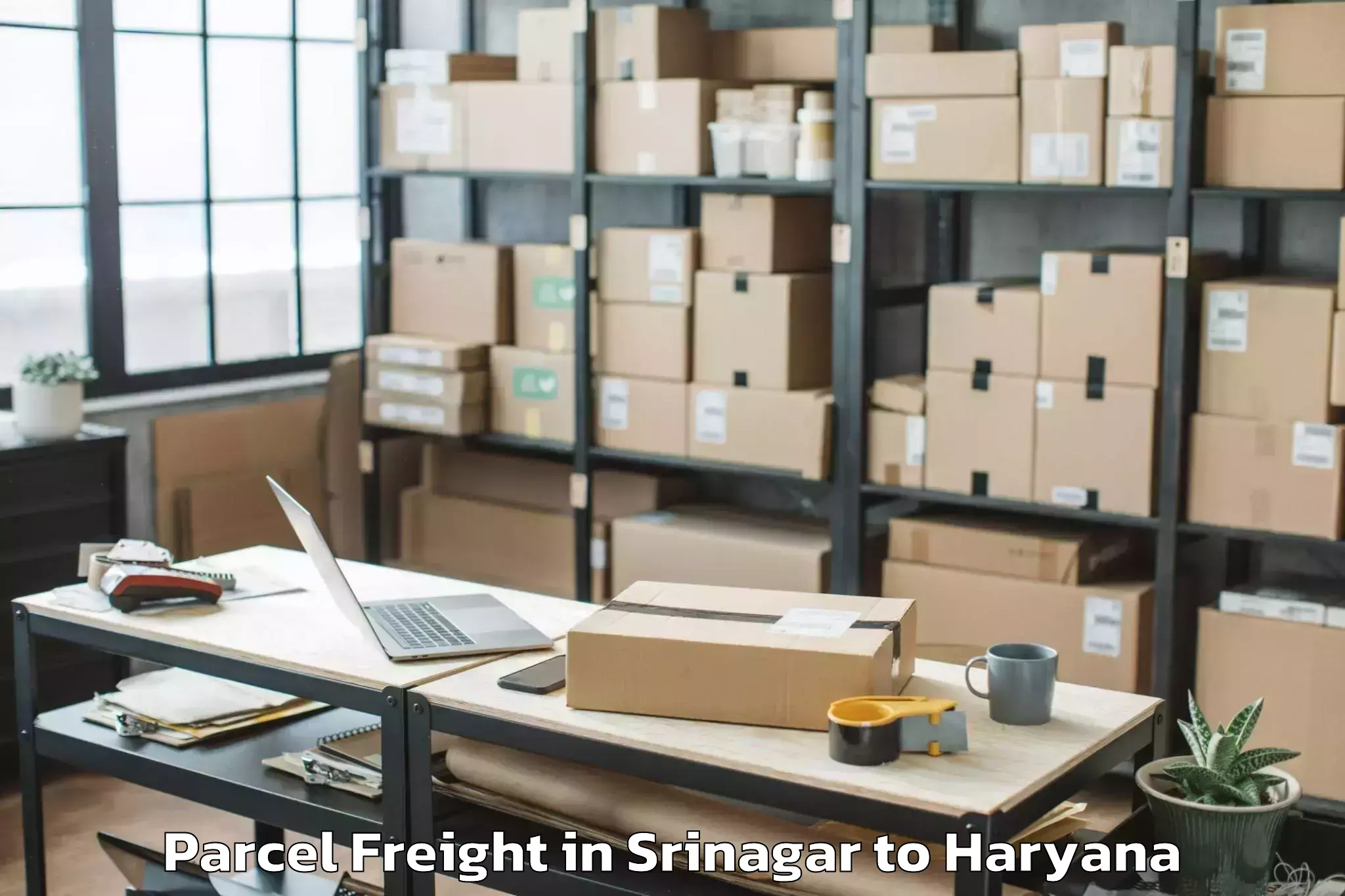 Book Srinagar to Yamuna Nagar Parcel Freight Online